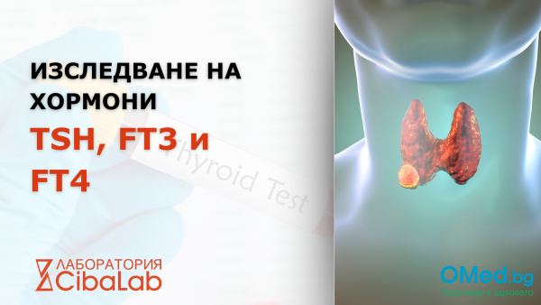Изследване на хормоните на щитовидната жлеза TSH, FT3 и FT4 от лаборатории Cibalab!
