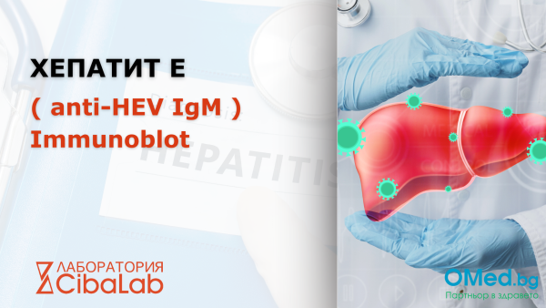 Хепатит Е ( anti-HEV IgM ) Immunoblot от Лаборатории Cibalab