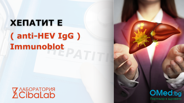 Хепатит Е ( anti-HEV IgG ) Immunoblot от Лаборатории Cibalab