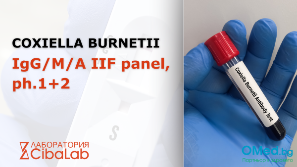 Coxiella Burnetii IgG/M/A IIF panel, ph.1+2 от Лаборатории Cibalab